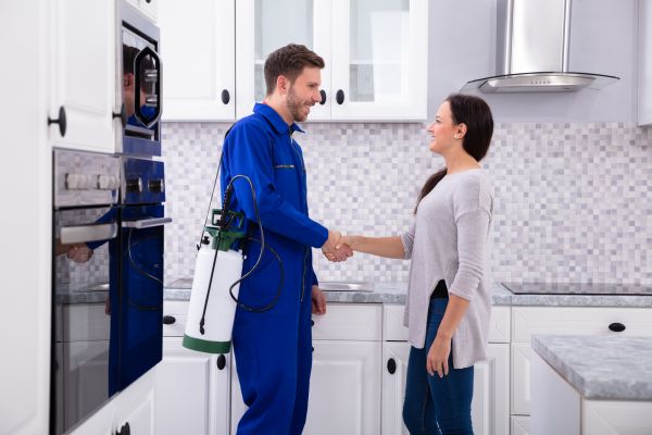 Boulder Pest Control Service