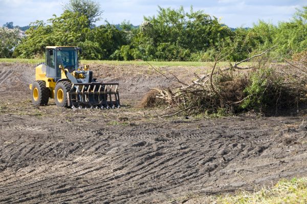 Boulder Land Clearing