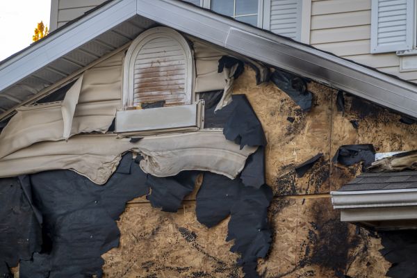 Boulder Fire Restoration